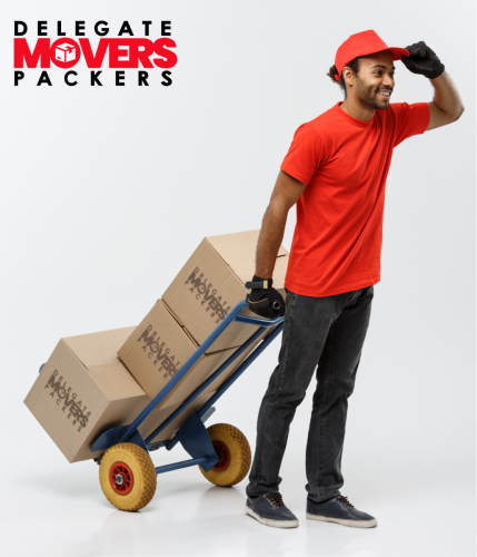 Delegate Movers and Packers Team